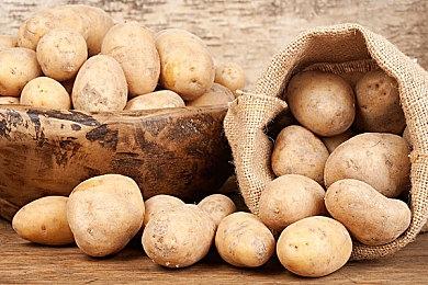 跟随节拍起舞，征服不灭之塔《节奏魔女 舞动的骷髅》现已正式发售